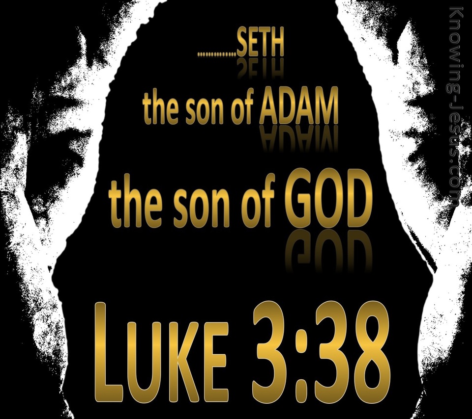Luke 3:38 Son of Adam Son of God (black)